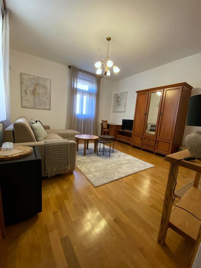 Vila Bellevue Лугачовице Экстерьер фото